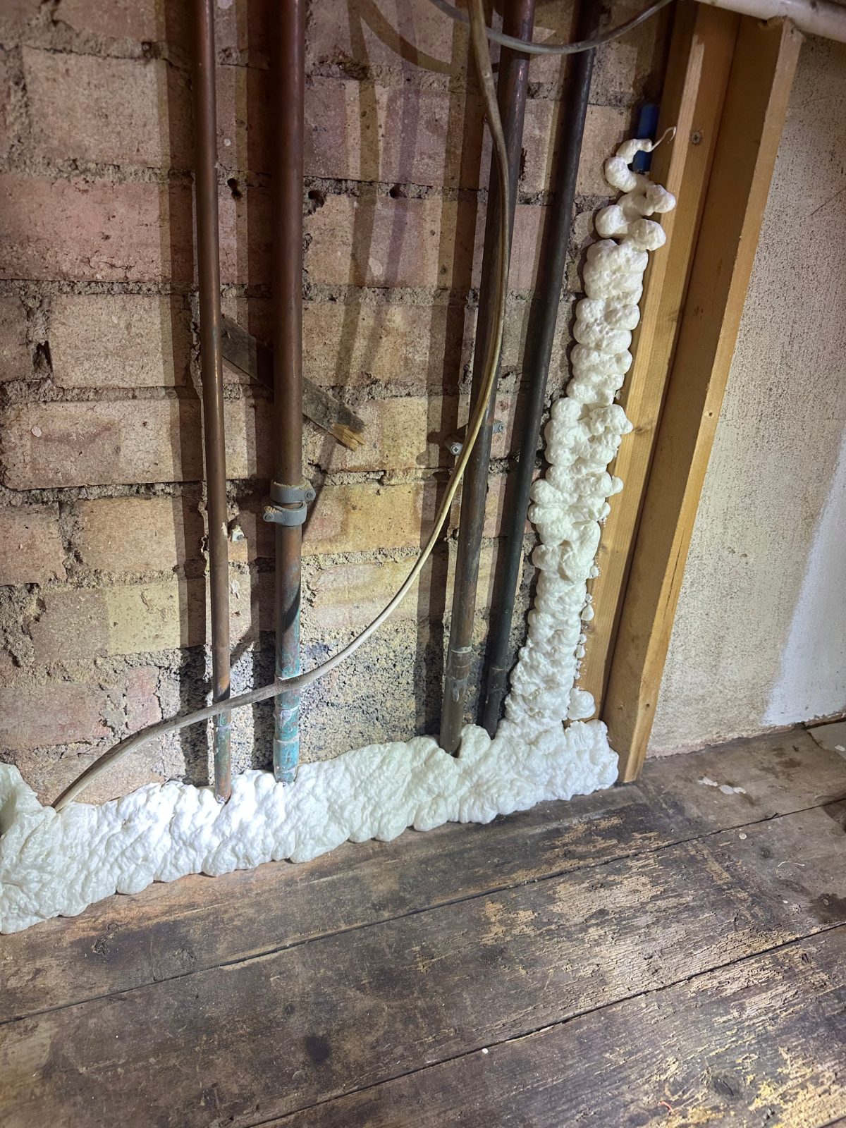 Pest Proofing