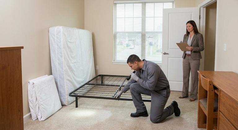 Bed Bug Laws: Landlord Responsibility and Who Pays by State