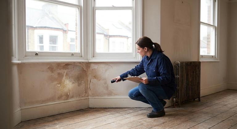 Decent Homes Standard Private Rented Sector: What We Know