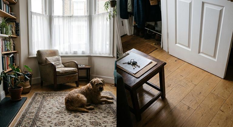 Pets in Rental Properties: What the Renters' Rights Act Changed