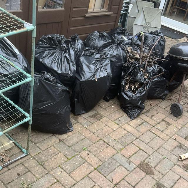 Back Yard Clearance