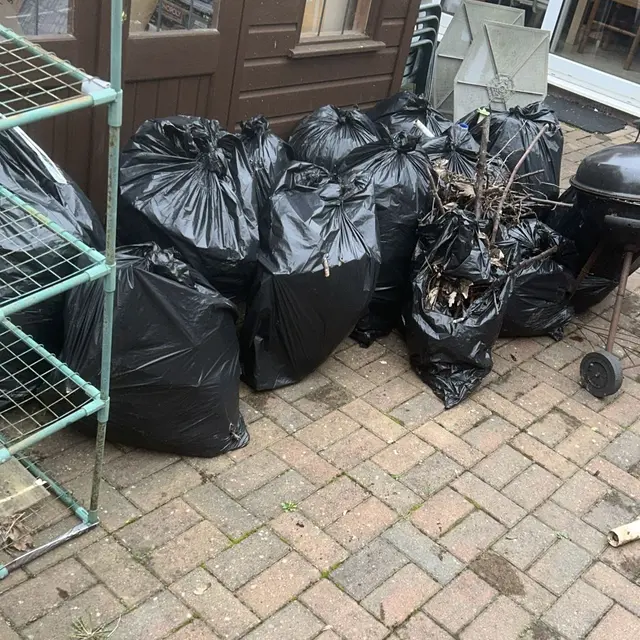 Back Yard Clearance