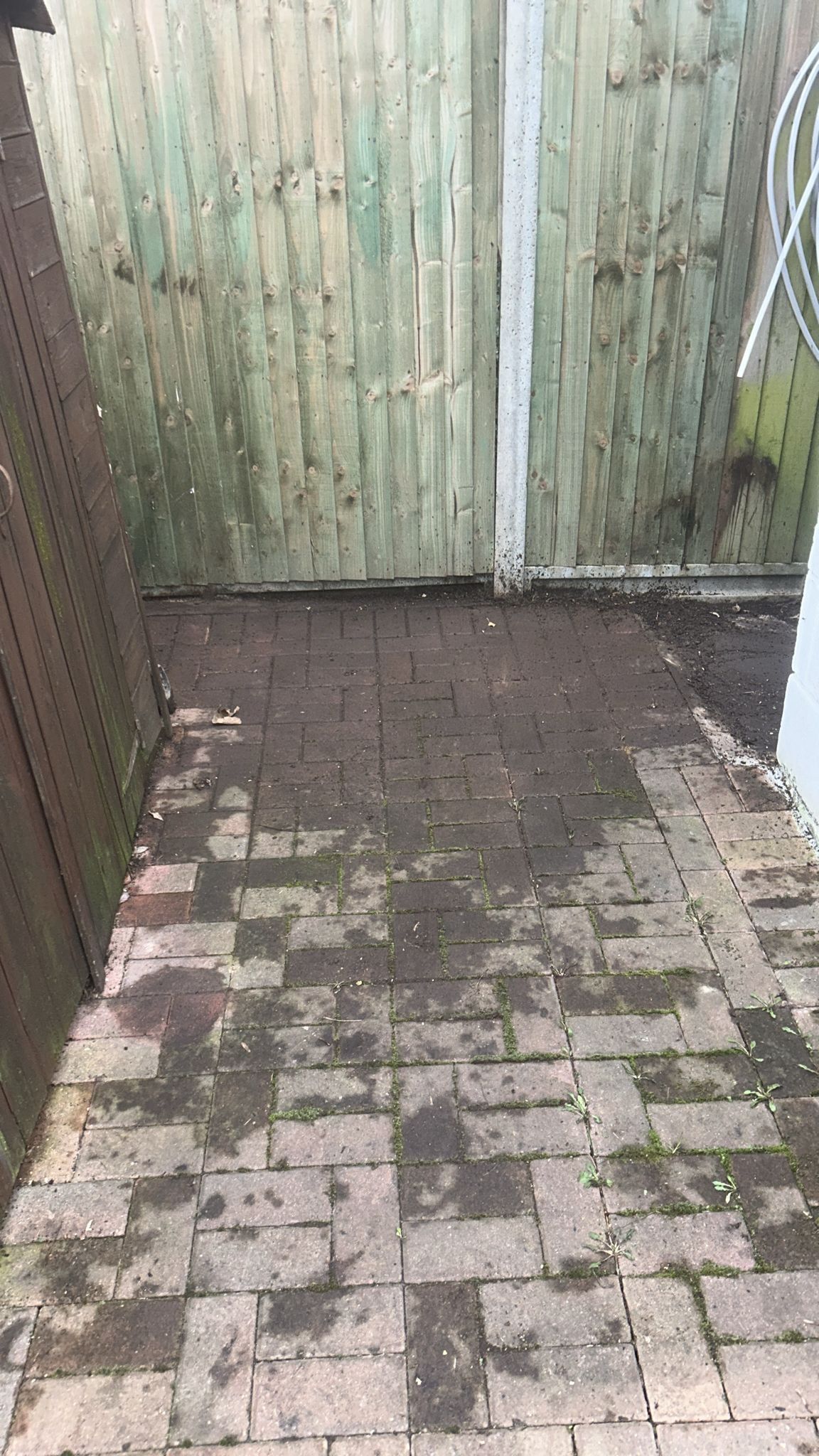 Back Yard Clearance