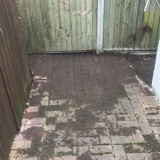 Back Yard Clearance