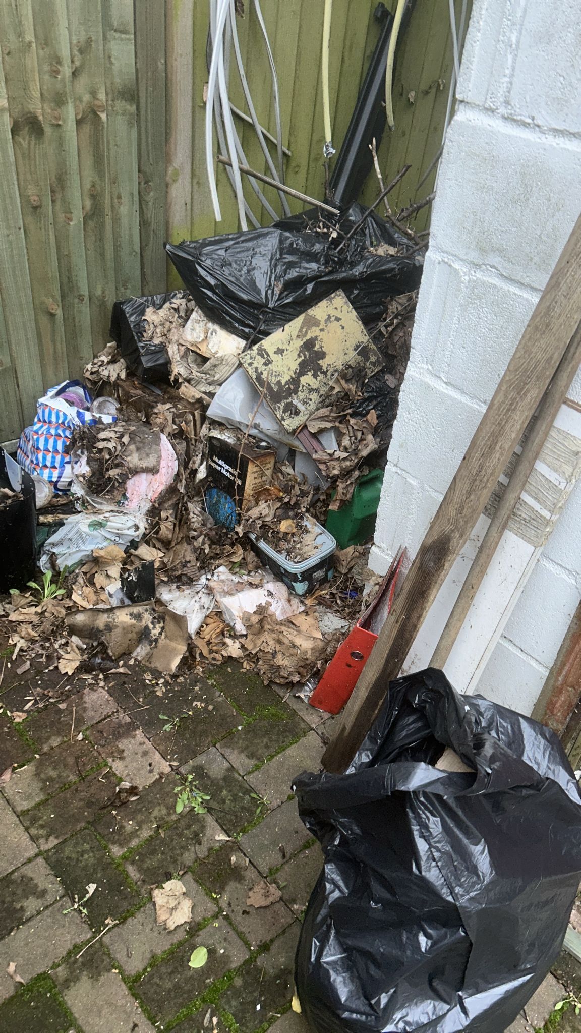 Back Yard Clearance