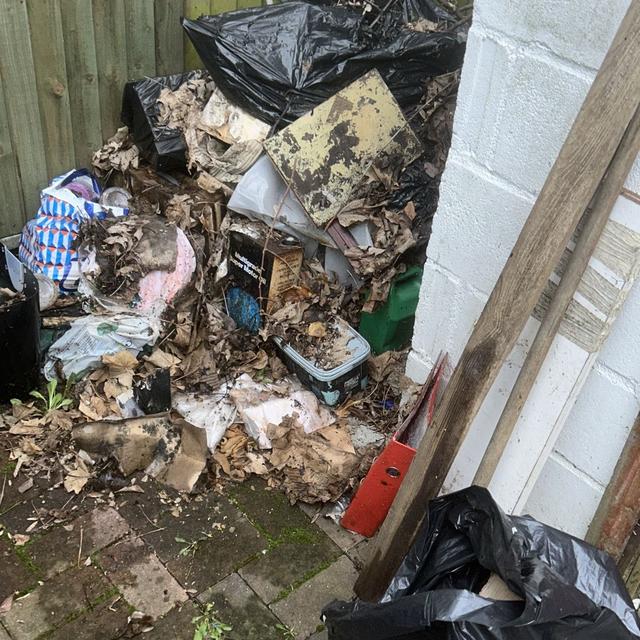 Back Yard Clearance