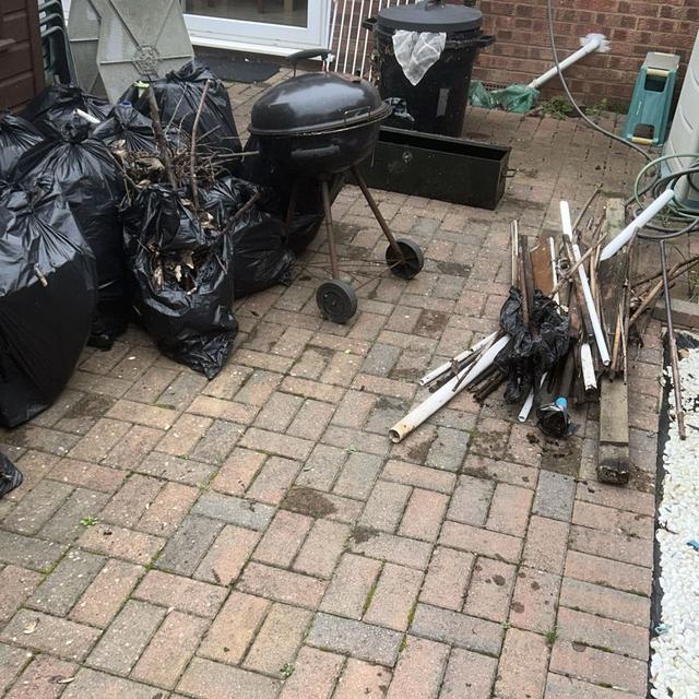 Back Yard Clearance