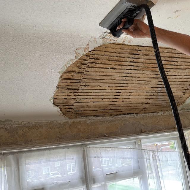 Elevate and illuminate painting and decoration