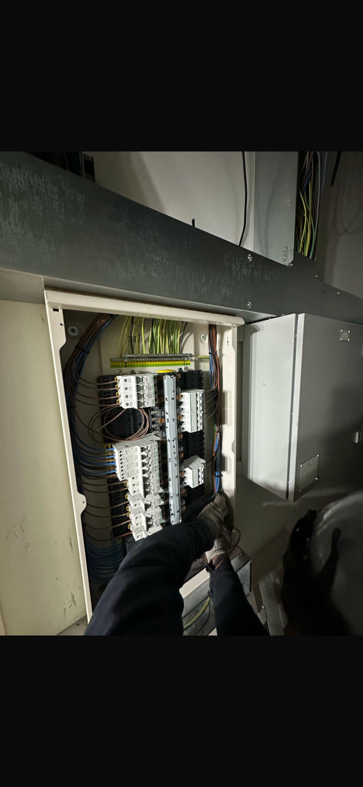 Rtms group