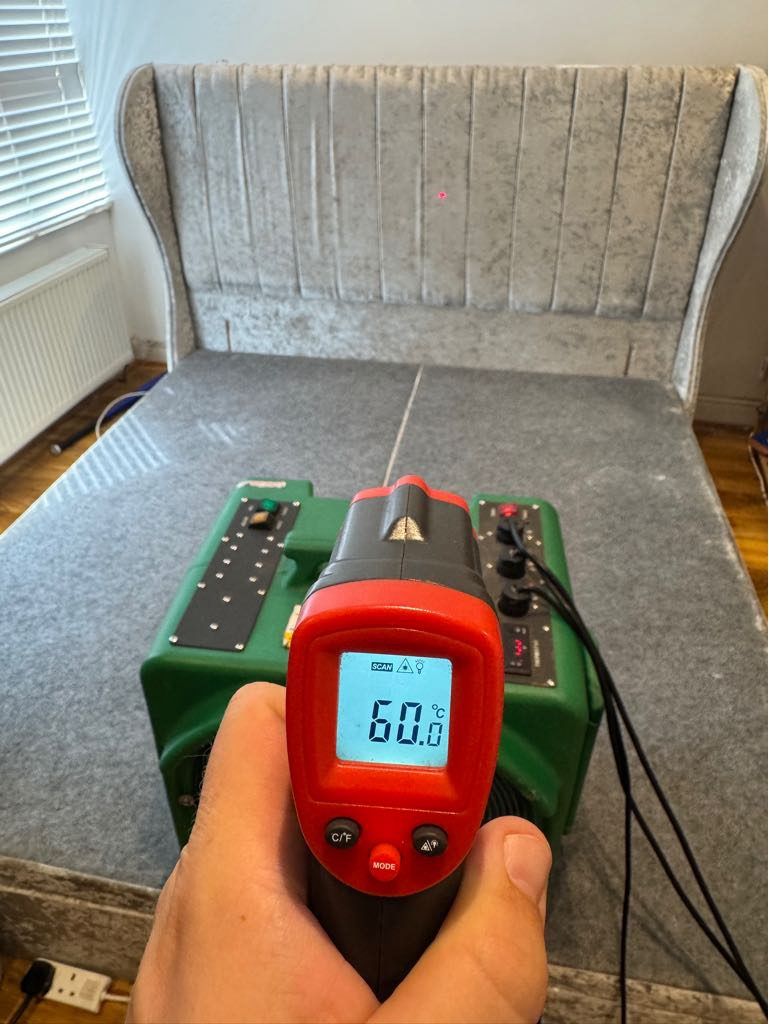 Heat Treatment for Bed bugs