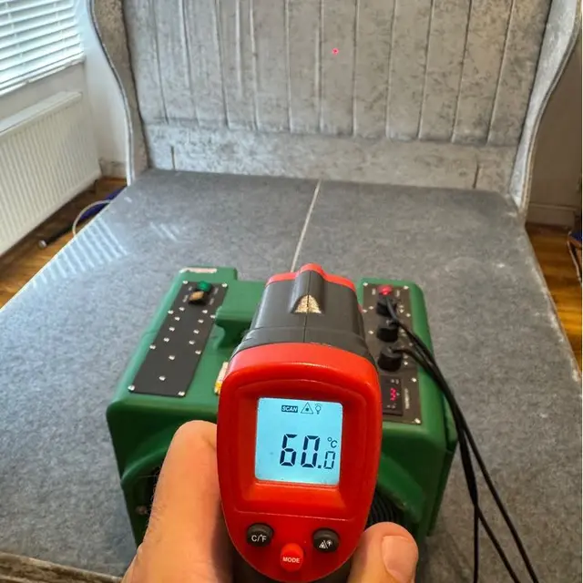 Heat Treatment for Bed bugs