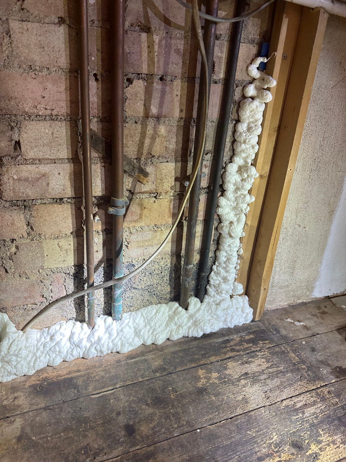 Pest Proofing