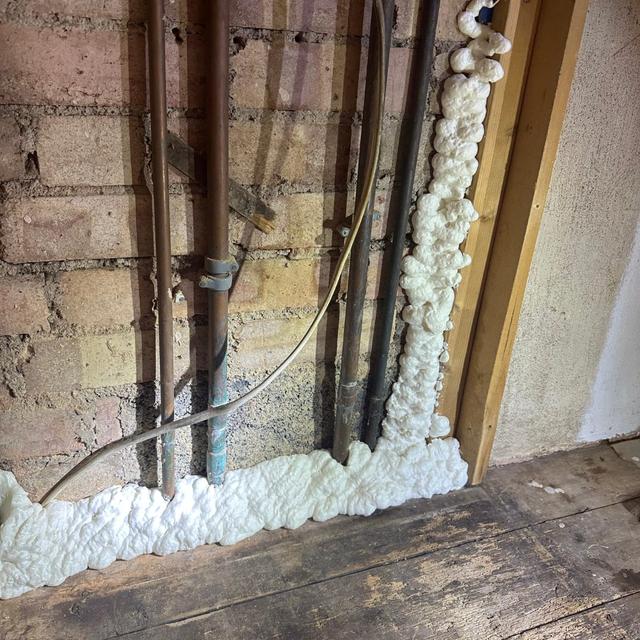 Pest Proofing