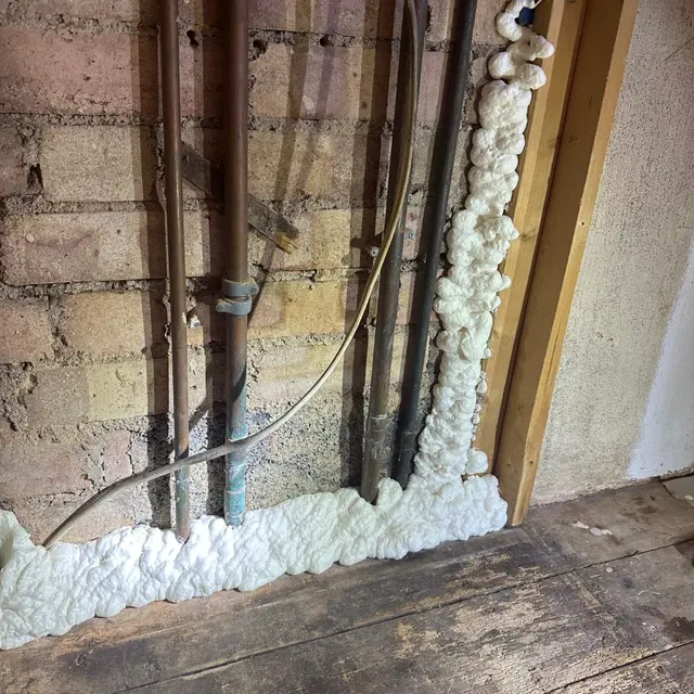 Pest Proofing