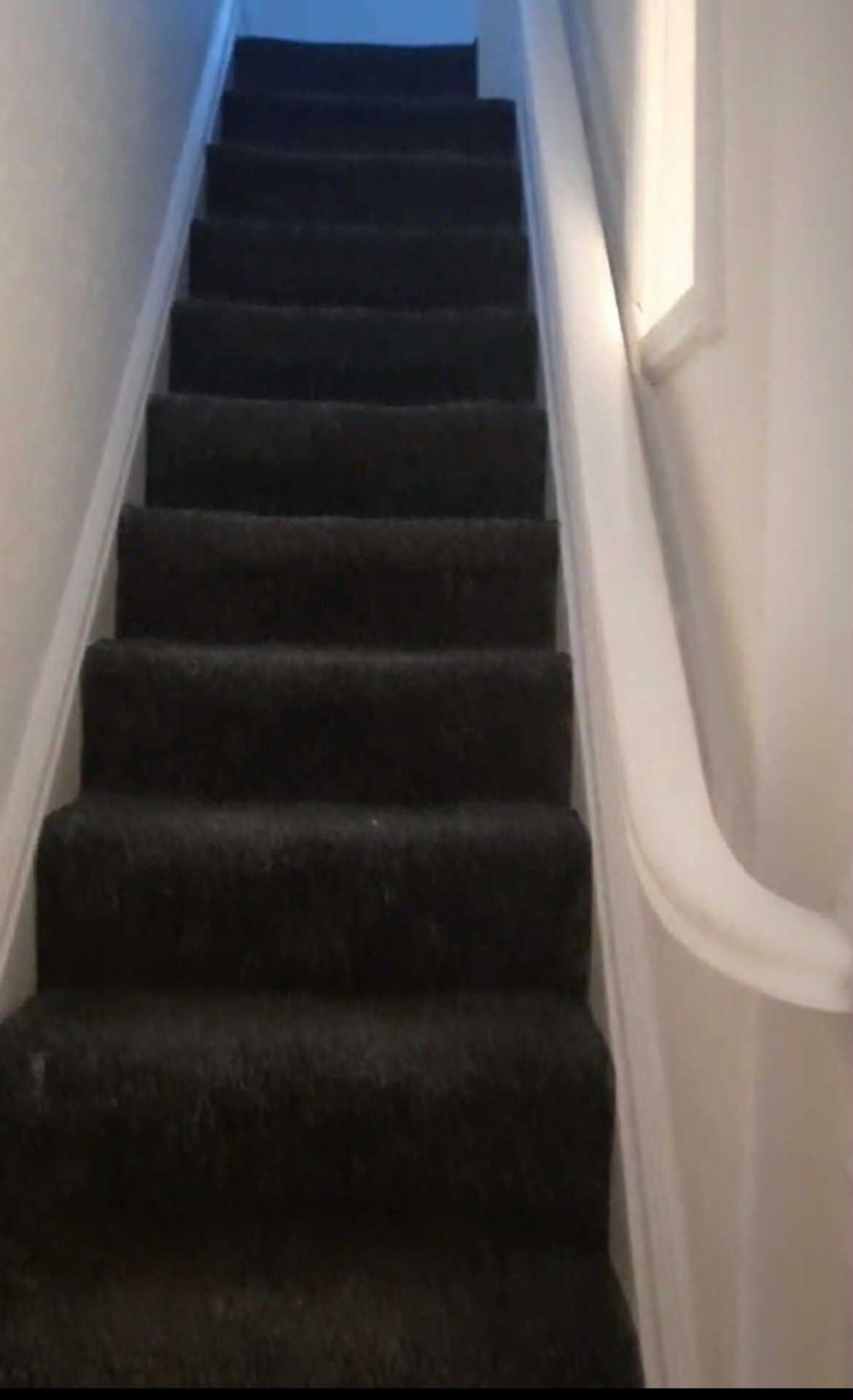 BIBIRENOVATION LTD
