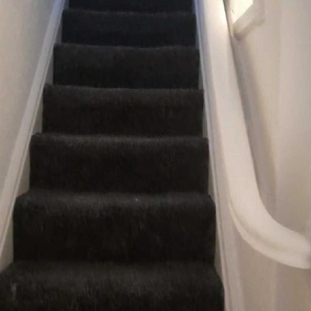 BIBIRENOVATION LTD