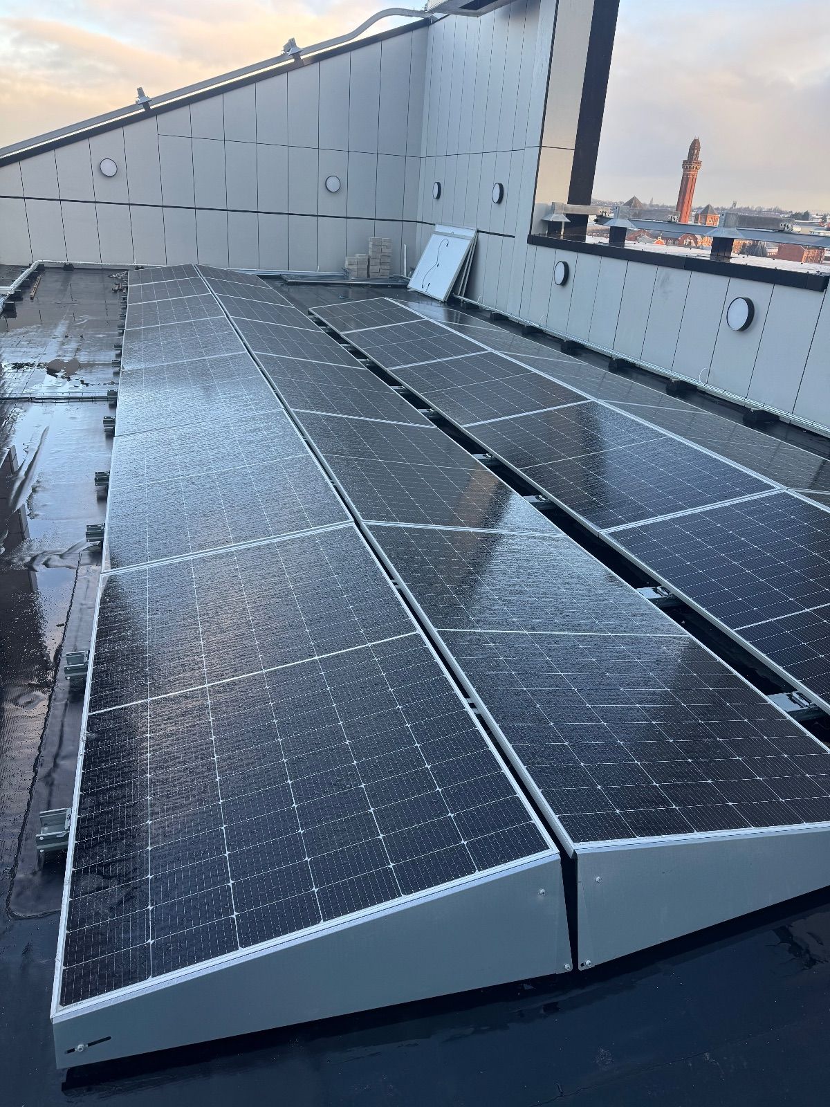 Gosome LTD